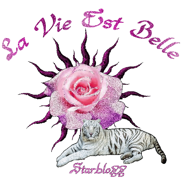 la vie set belle starblog ??